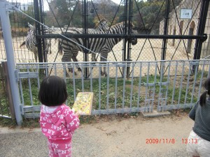 安佐動物園